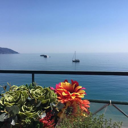 Cinqueterreblu Lungomarenostro Leilighet Monterosso al Mare Eksteriør bilde